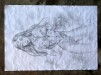 Untitled 2