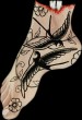 Tattooed Foot