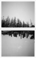 Landscape Quartet I Study #1 & #2