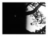 Still #4 - Landscape Quartet III