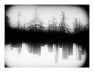 Still #1 - Landscape Quartet I