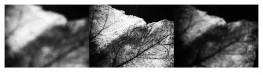 Still #6 - Landscape Quartet IV