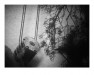 Still #2 - Landscape Quartet II